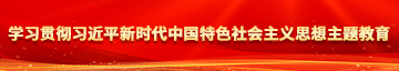 日本裸交xxxxxbbbbbbb学习贯彻习近平新时代中国特色社会主义思想主题教育